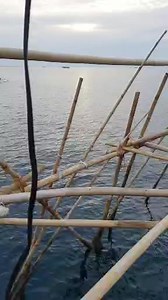 Arong-fishing method sa Capiz | Cabeaches