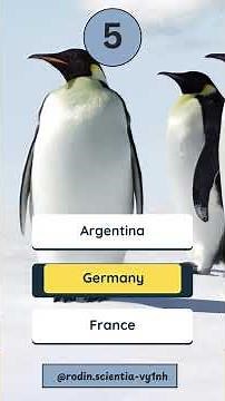 QUIZ Continent Antarctica #quiz #knowledge #world #facts