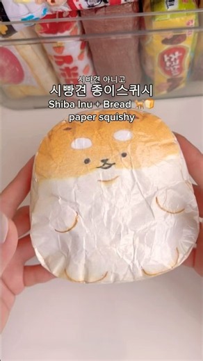 시빵견 종이스퀴시 Shiba Inu + Bread paper squishy 🐕🍞 #종이스퀴시 #しばいぬ #papercraft #diy #squishy