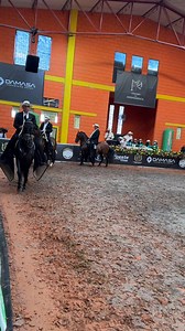 5.4K views · 41 reactions | CCC | Juan David Jaramillo Experiencias Equinas | Facebook