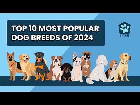 Top 10 Most Popular Dog Breeds of 2024