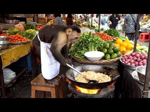 QGTVNetwork | Humor: A monkey cooking food
