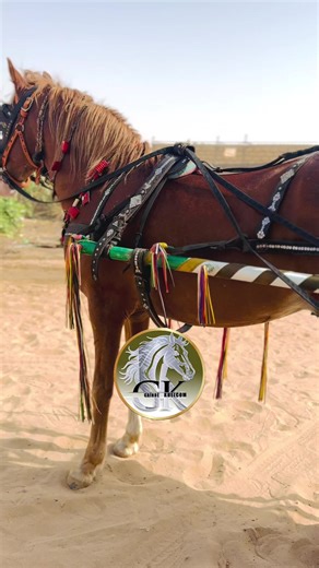 Vidéos de alsan niang (@alsan.niang) avec son original - Domou Serere 😍