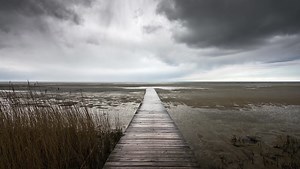 A Five-Step Process to Shooting Moody Landscape Photos