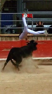 407K views · 2.7K reactions | INSTANTS SAINT LAURENT D'AIGOUZE (27/04/2025) - Les meilleurs moments de la course Images : Didier Ségarra #camargue #toriltv #taureaux #manade #arenes #raseteur #taureau #arènes #toril #coursecamarguaise | Toril TV | Facebook