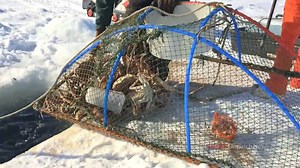 Alaskans don't mess around when it comes to crab -- even if that means cutting a hole into the ice and pulling out the tasty crustaceans in the dead of winter. Subscribe to our YouTube channel for more videos of life in Alaska: http://on.adn.com/1S60wbi | Anchorage Daily News