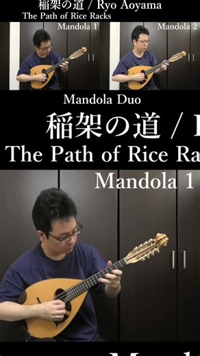 #shorts #mandolin #mandola #ryoaoyama