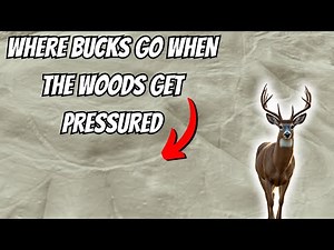 Locating A Productive Bench For High Pressure Rut Hunts