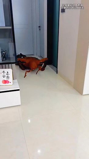 school life challenge 104 mini wood toy woodworking art skill woodhand craft#shorts#trending | KALAM STORY