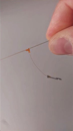 How to Tie a T Knot & T Knot Rig | Best Fishing Knots for Beginners 🎣