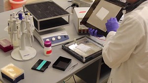 LabXchange is a free resource from Harvard University that brings science to you. See how scientists conduct experiments in real labs and learn key lab techniques. | LabXchange