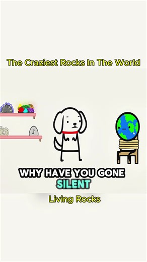 The Craziest Rocks In The World - Part 6 #doganimation #animation #cartoon #animationtiktok #rocks