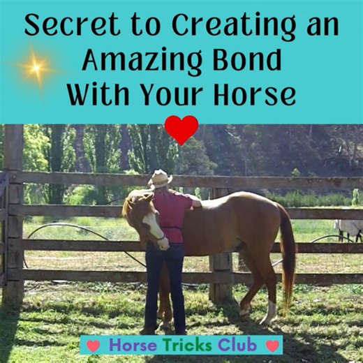 The simple secret to creating an amazing bond with your horse... ❤️ ❤️ ❤️ ❤️ ❤️ 👉 Do things together that you both enjoy! ❤️ 🐴 It's just like any relationship. We all love spending time with people who are fun and interesting. 🤩 Your horse is no different. 😊 🐴 💕 Unearth a treasure trove of 100 fun and engaging activities you and your horse can do together in HORSE TRICKS CLUB. 🎁 🚶‍♀️🐎 Here's a glimpse of what Horse Tricks Club has in store for you: 🌟 100s of engaging, fun activities to