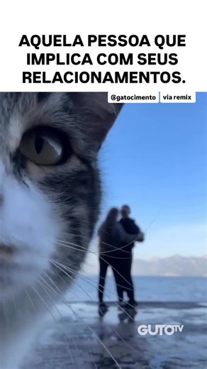 Kelly Rodrigues | Gato Cimento | 😅 … Sem palavras 🤣. Via remix . Quem puder ajude nosso projeto que salva gatos diariamente . Aceito qualquer d0açã0 . . Banco : Itau... | Instagram