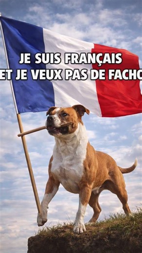 tu prends la haine nous l'amour par devant par derrière 🤣 ni haine niviolence #animaux