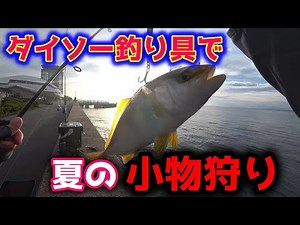 【ダイソー釣り具】スーパーライトジグサビキで夏の回遊青物を狙う。