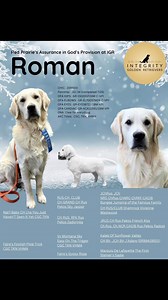 114 reactions · 32 comments | It’s official…Roman has passed all his...