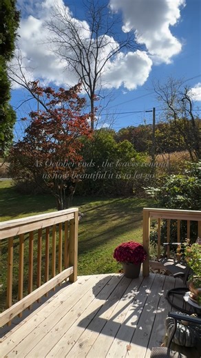 As October ends , the leaves remind us how beautiful it is to let go 🍂🍂🍂 #october #fall #leaves #autumn | Whitney Hess