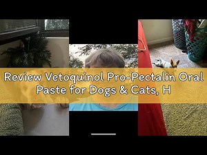Review Vetoquinol Pro-Pectalin Oral Paste for Dogs & Cats, Helps Relieve Occasional Diarrhea in Cats