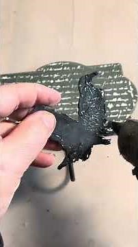$3 Thrift Store Hooks → Primitive Crow Decor!