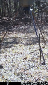 Pig intel on an urban capture. #JagerPro #hogcontrol | Jager Pro Hog Control Systems