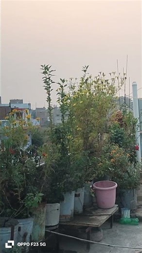 masroof hai dil tere pyar me