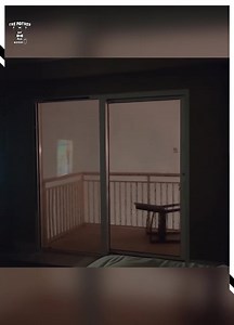 12K views · 46 reactions | Different Shades Of Wind! | Flowers | Facebook