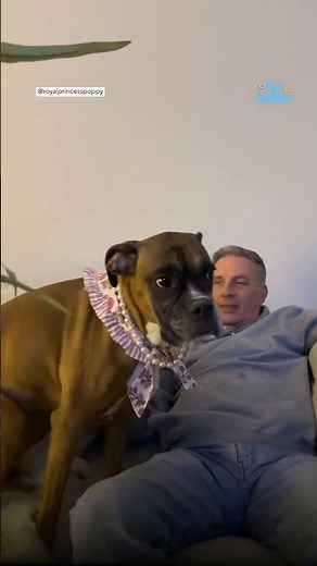 6-year-old boxer yells at grandpa to go home so she can go to bed