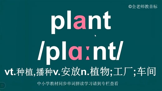 种植plant音标拼读方法讲解