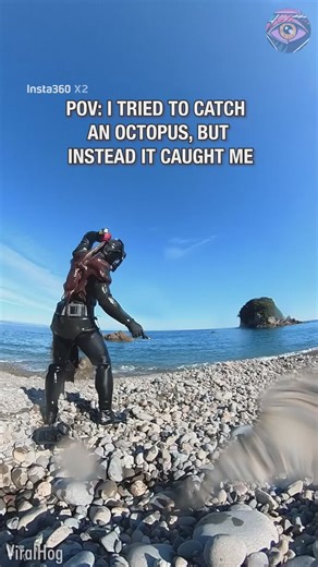 461K views · 755 reactions | Huge clingy octopus demands hugs | Bright Side | Facebook