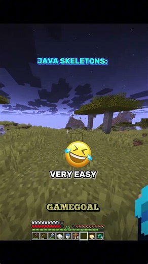 Java skeletion vs Bedrok skeletion 🤯😱