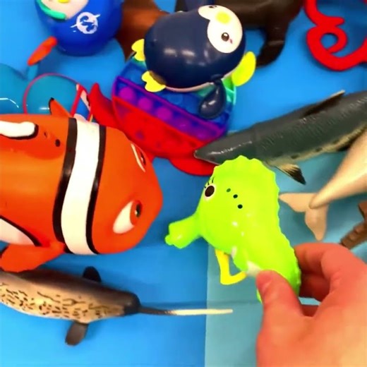 Different Kinds of Ocean Animals on Display at the Table