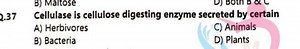 2.37 Cellulase is cellulose digesting enzyme secreted by certai... | Filo