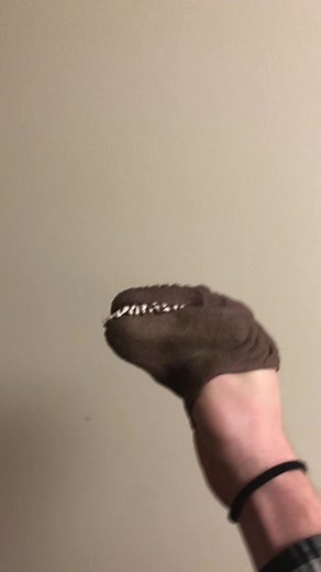 Trex_Hand on TikTok