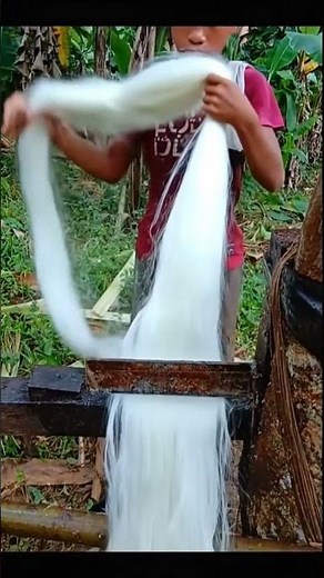Little Hands & Hard Work Abaca Fiber Processing 🍌🧬