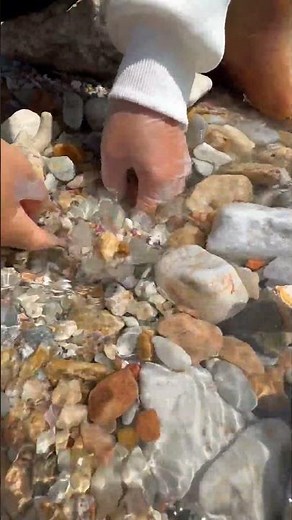 Sea Agate and Sea Crystal: Finding Hidden Treasures on the Shore and rare pearl