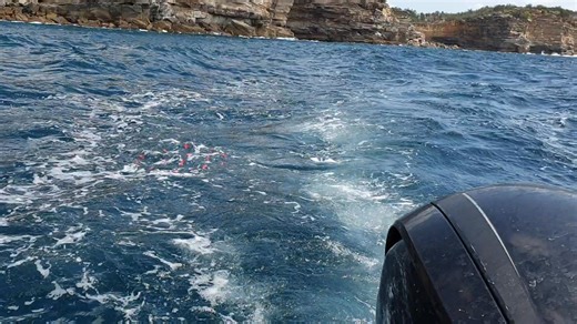 22K views · 79 reactions | Thanks Andrew, I've had it sitting on my...