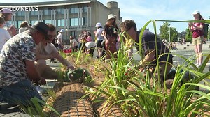 10K views · 72 reactions | Two floating ecosystems have been launched into Bristol Harbour as part of a £500,000 project to better water quality. The islands are made from recycled water pipes and are covered in native plants. It's the start of something much bigger for Bristol- as the city plans to launch more into the water later this year. Full story here: https://bit.ly/3yE5F8U | ITV News West Country | Facebook