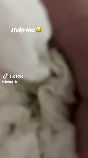 Seeking Help: Understanding How to Get Support