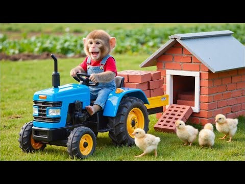 Monkey BoBo Drives a Mini Tractor and Builds a Brick House with Cute Chicks on a Fun Farm Adventure