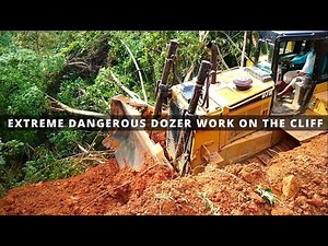 Dozer Clearing Forest for Plantation | Dangerous Area