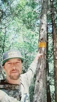 Trespassing on MY OWN GOLD MINING CLAIM??? #wtf#gold claim