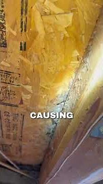 🚨 New homeowners: Replacing cracked exterior caulking is a quick, inexpensive fix #shorts