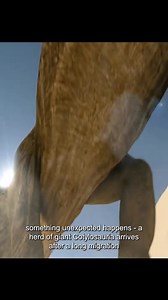 88K views · 1.2K reactions | Earth 252 million years ago #animals #dinosaur | Pinchaskeene | Facebook