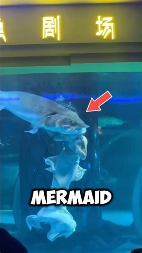 The Truth About Professional Mermaids 🧜‍♀️✨