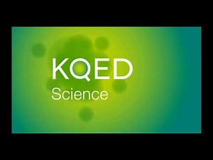 KQED Logo History [UPDATED]