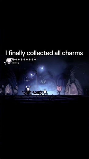 hollowknight collected all charms