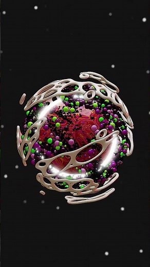 Satisfying Bio Loop Animation | Organic Motion in 2D Style #3danimation #art #3dmodeling #animeart