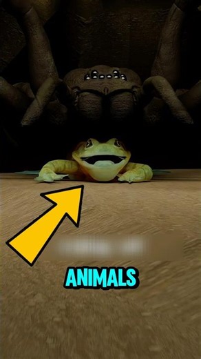 Why Tarantulas Keep Frogs as Bodyguards 🕷️🐸