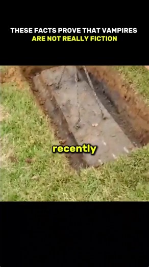 သွေးစုပ်ဖုတ်ကောင်ကတကယ်ရှိခဲ့တာလား #scarystories #horrorstory #strangerthings #vampire